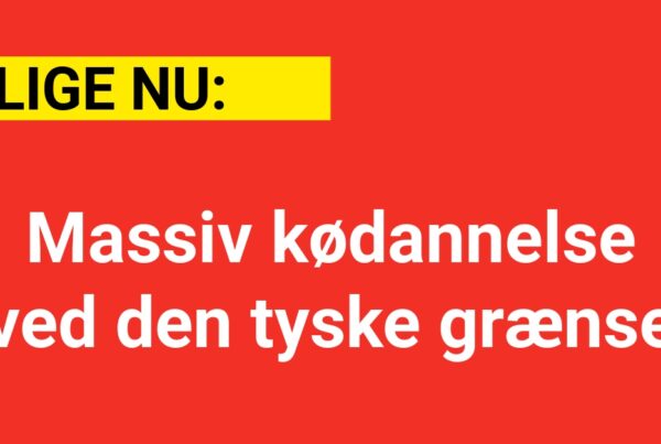 LIGE NU: Massiv kødannelse ved den tyske grænse