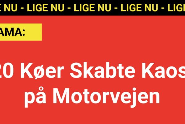 20 Køer Skabte Kaos på Motorvejen - 112