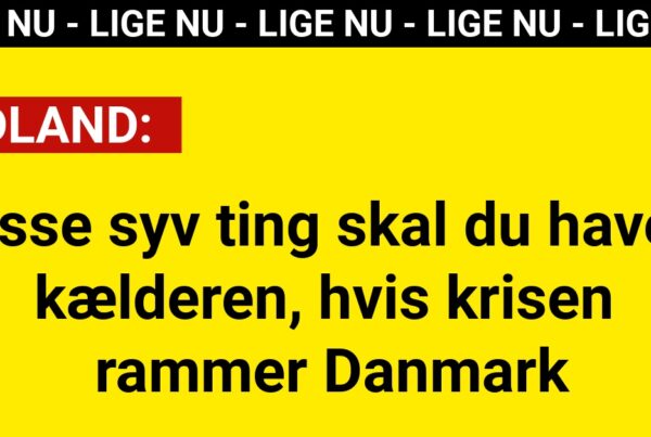 Disse syv ting skal du have i kælderen hvis krisen rammer Danmark