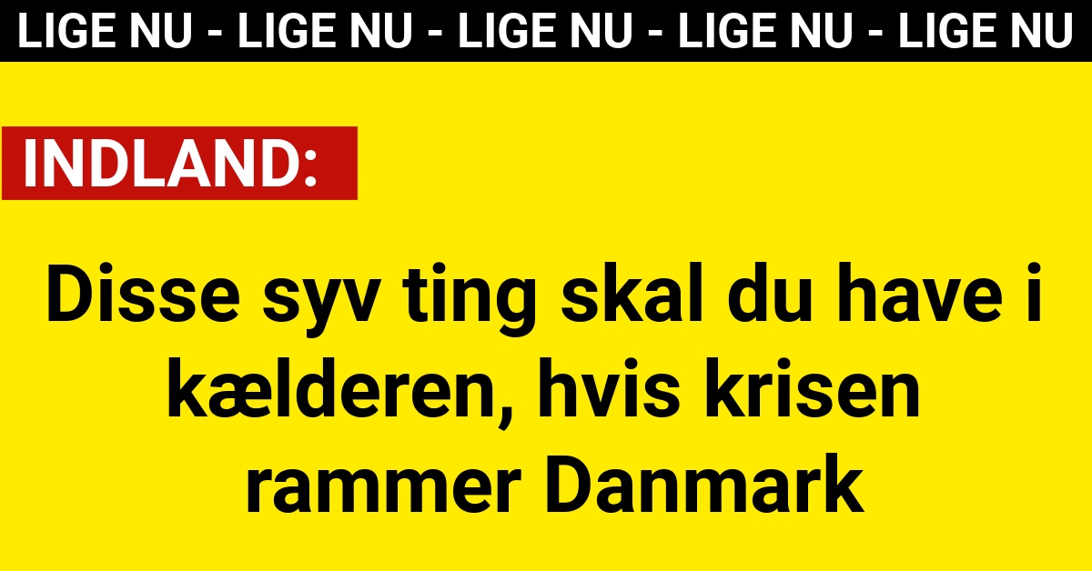 Disse syv ting skal du have i kælderen hvis krisen rammer Danmark