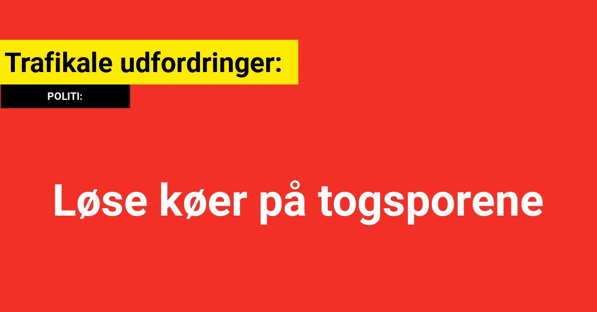 Trafikale udfordringer: Løse køer på togsporene