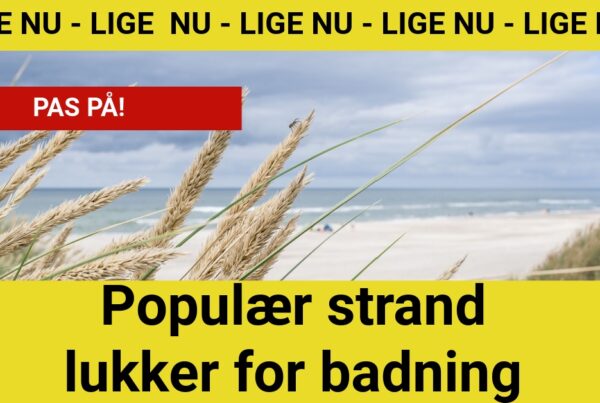 Populær strand lukker for badning