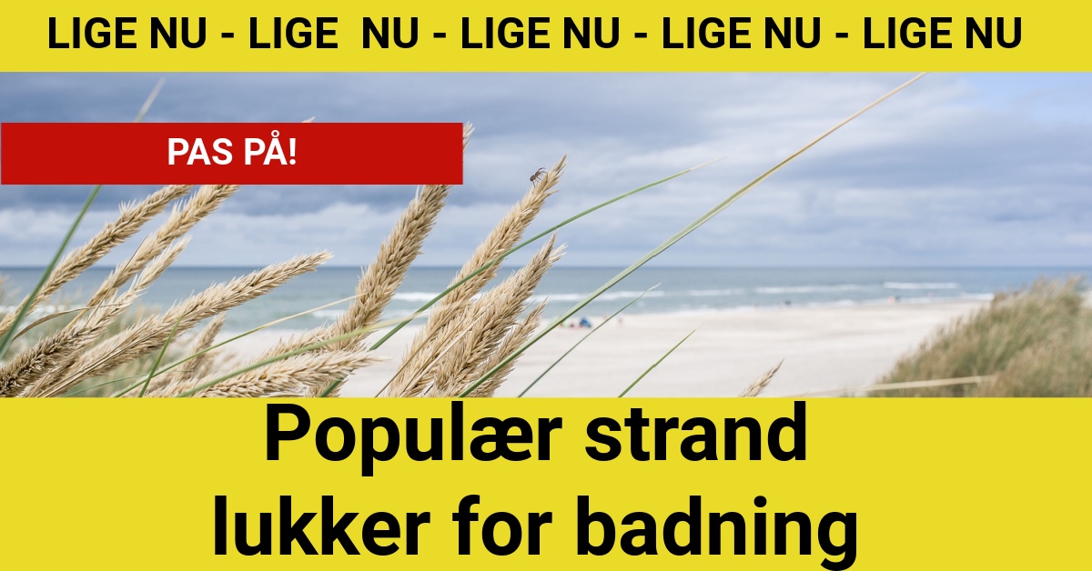 Populær strand lukker for badning