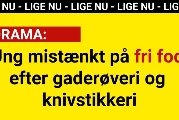 Ung mistænkt på fri fod efter gaderøveri og knivstikkeri