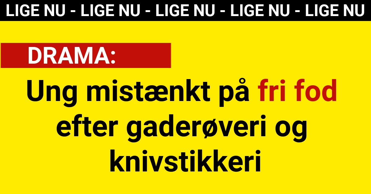 Ung mistænkt på fri fod efter gaderøveri og knivstikkeri