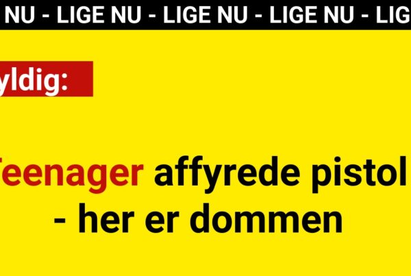Skyldig: Teenager affyrede pistol - her er dommen