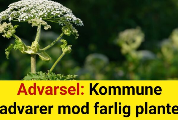 Advarsel: