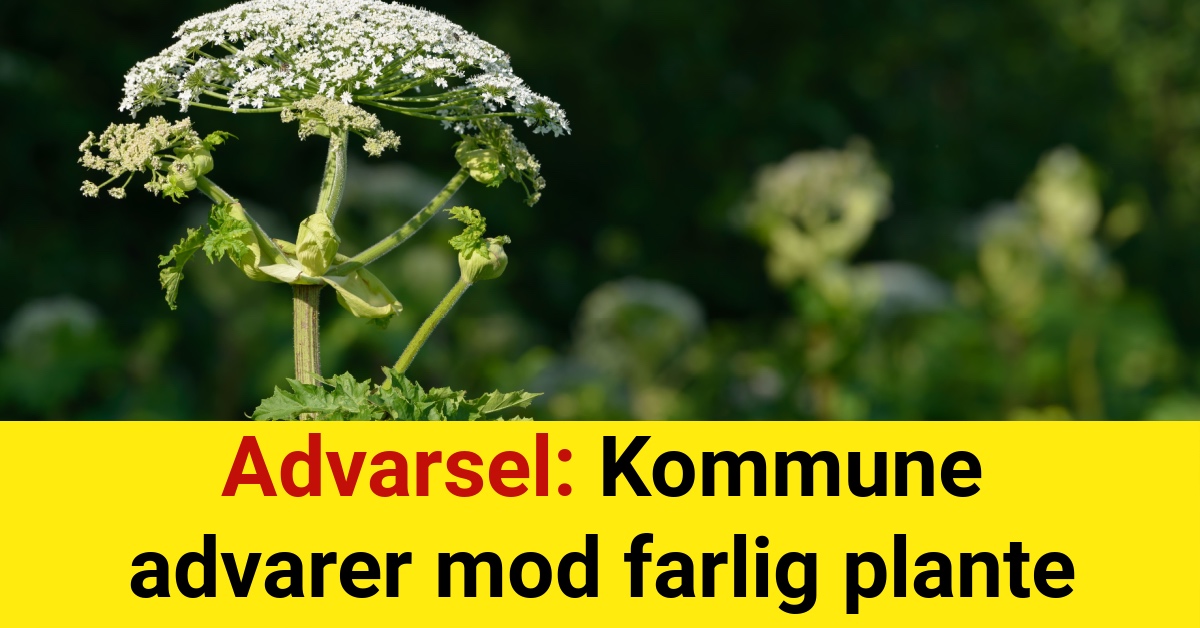 Advarsel: