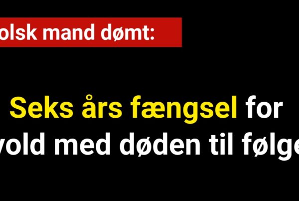 Polsk mand dømt til seks års fængsel for vold med døden til følge