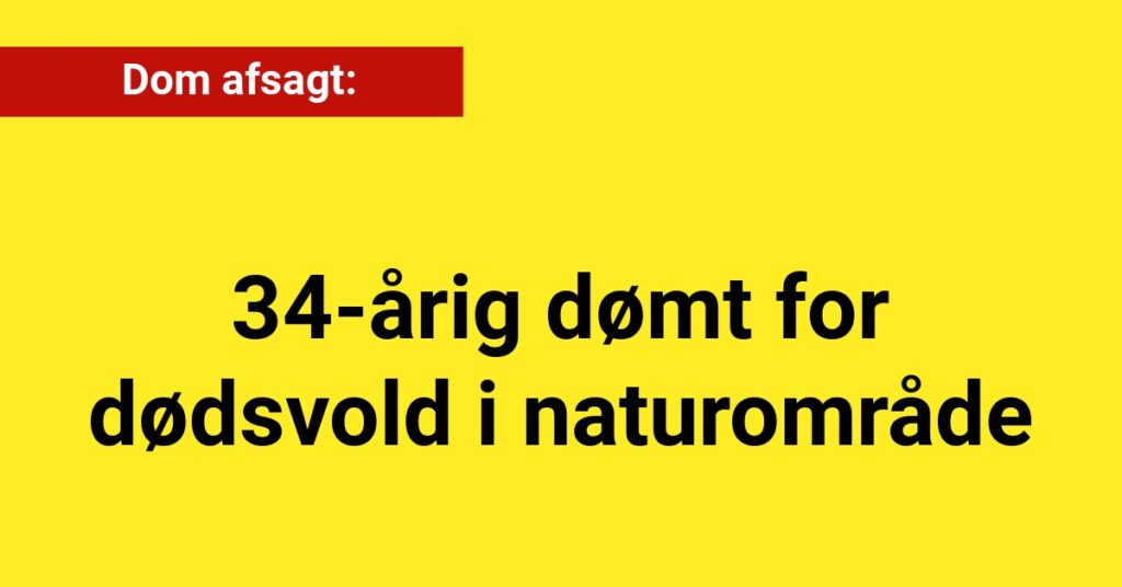 Dom afsagt: 34-årig dømt for dødsvold i naturområde