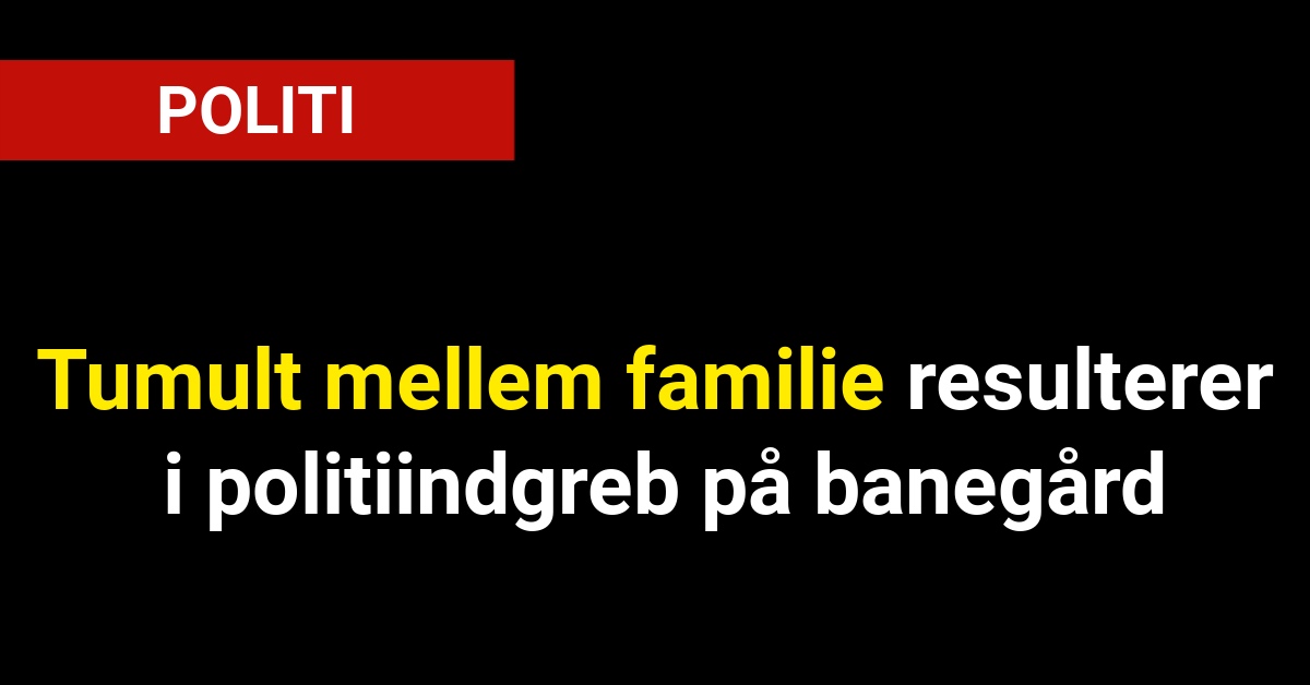 Tumult mellem familie resulterer i politiindgreb på banegård