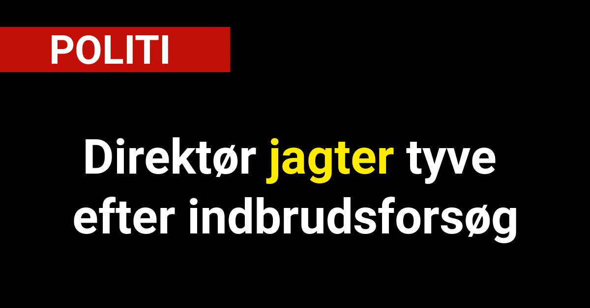 Direktør jagter tyve efter indbrudsforsøg