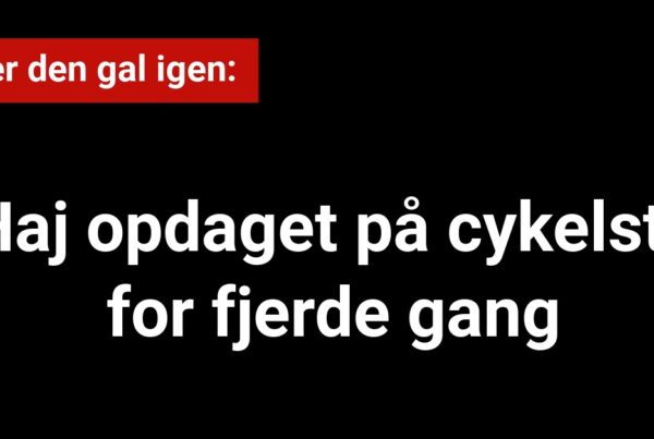 Haj opdaget på cykelsti for fjerde gang