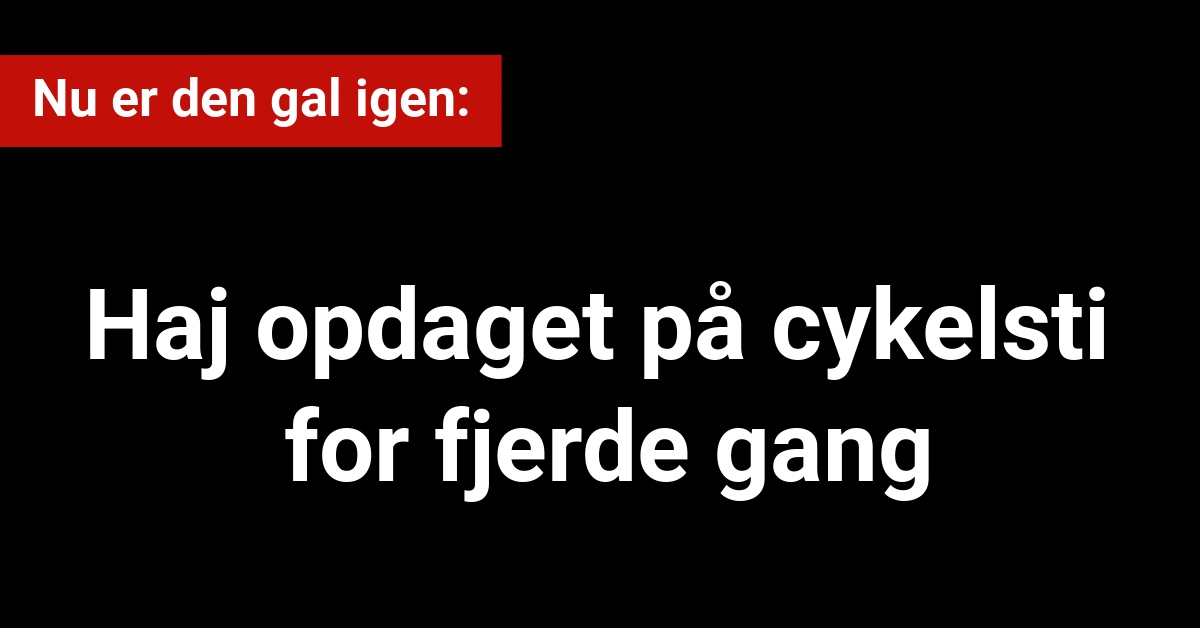 Haj opdaget på cykelsti for fjerde gang