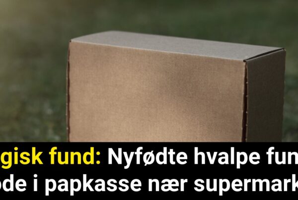 Tragisk fund: