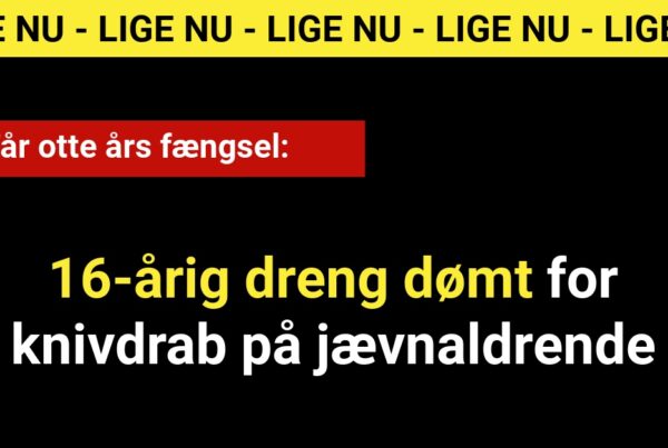 Får otte års fængsel