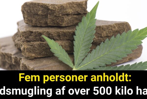 Fem personer anholdt: Indsmugling af over 500 kilo hash