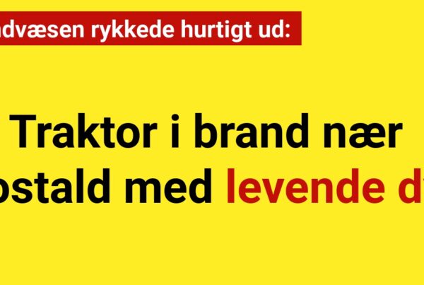 Brandvæsen rykkede hurtigt ud