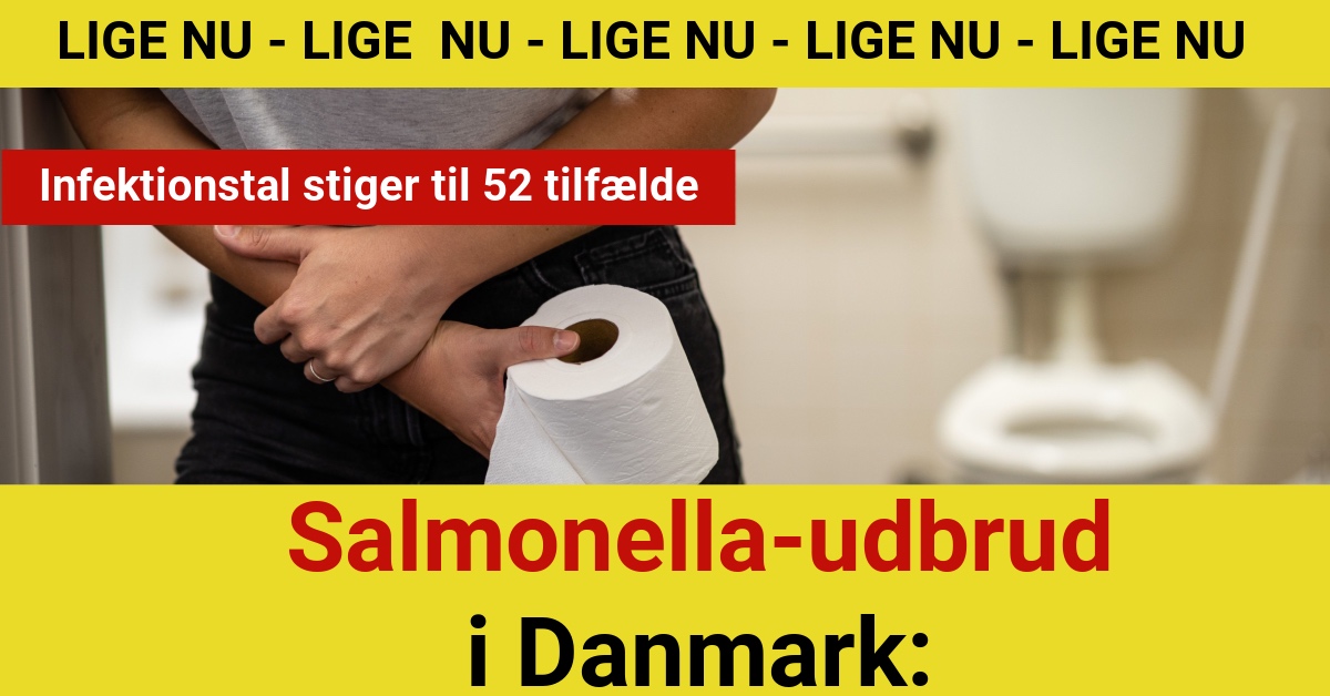 Salmonella-udbrud i Danmark: Infektionstal stiger til 52 tilfælde