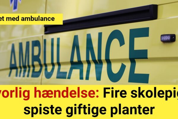 Alvorlig hændelse: Fire skolepige spiste giftige planter - hentet med ambulance
