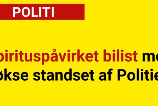 Spirituspåvirket bilist med økse standset af Politiet