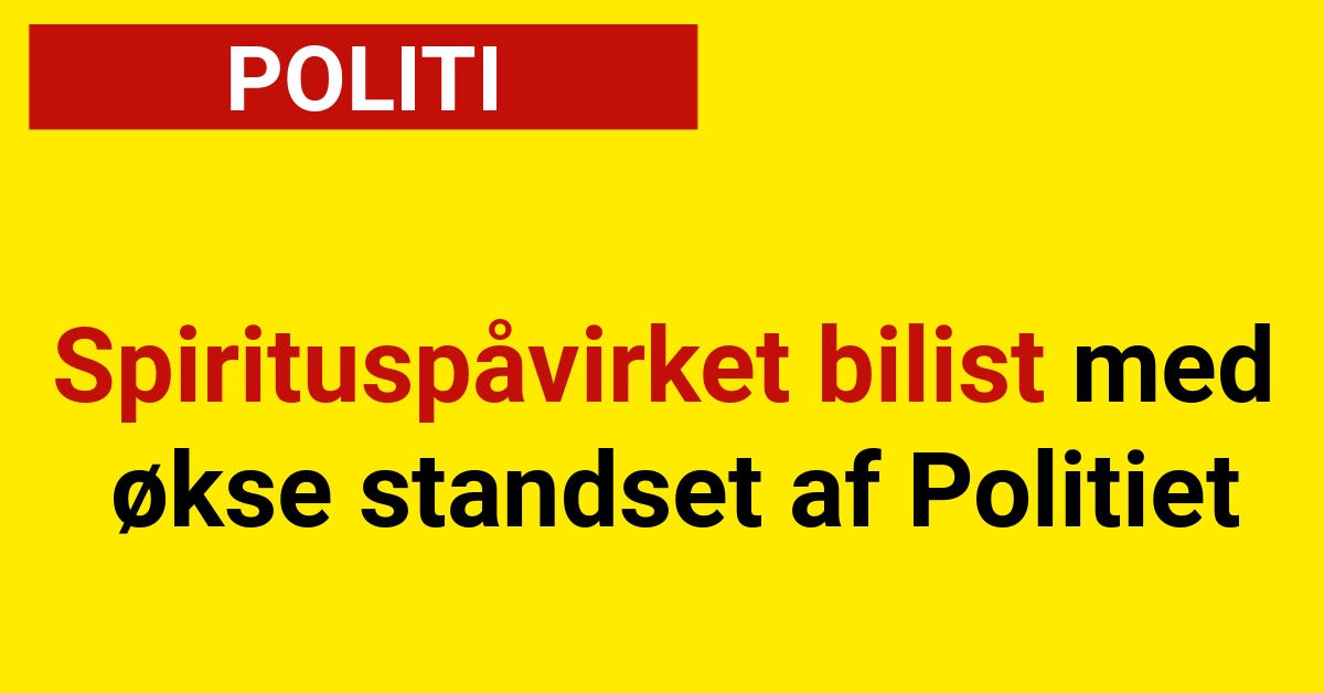 Spirituspåvirket bilist med økse standset af Politiet