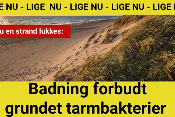 Midlertidigt badeforbud ved populær strand ved Blokhus Bæk på grund af tarmbakterier