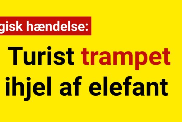 Tragisk hændelse: Turist trampet ihjel af elefant