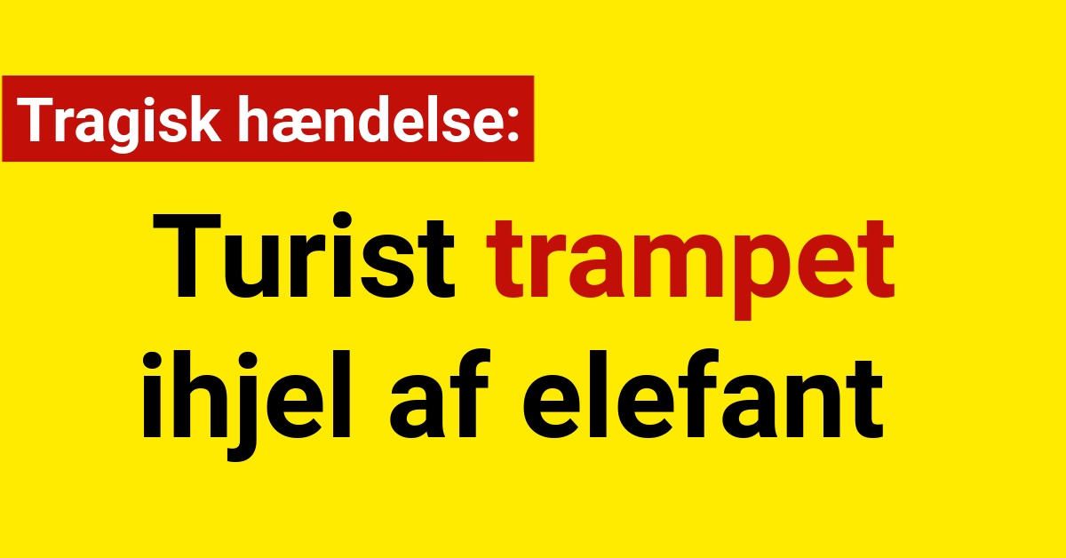 Tragisk hændelse: Turist trampet ihjel af elefant