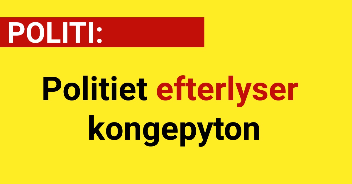 Politiet efterlyser kongepyton