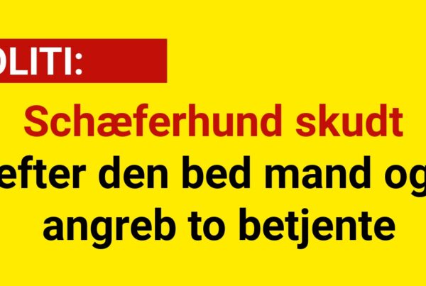 Schæferhund skudt efter den bed mand og angreb to betjente