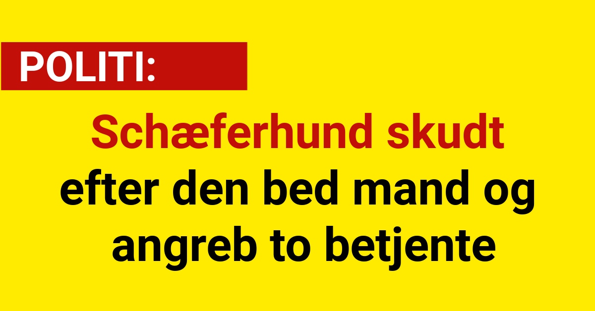 Schæferhund skudt efter den bed mand og angreb to betjente