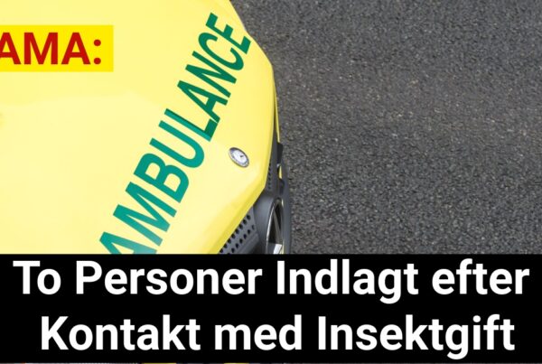 DRAMA: To Personer Indlagt efter Kontakt med Insektgift