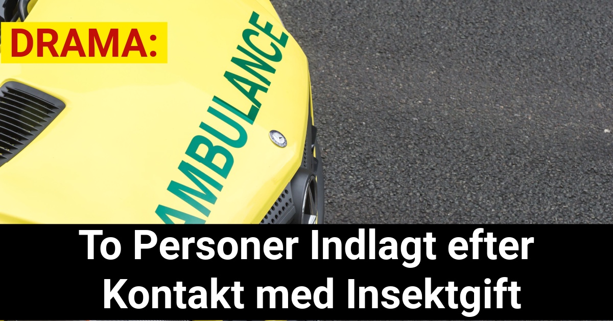 DRAMA: To Personer Indlagt efter Kontakt med Insektgift