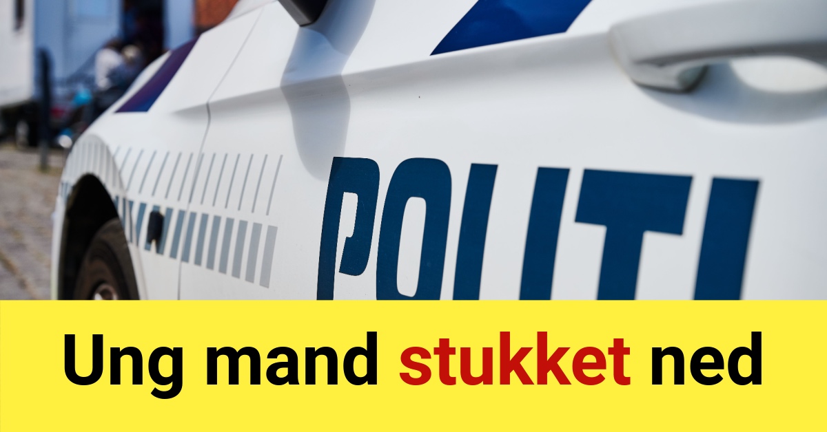 Ung mand stukket ned - Krimi