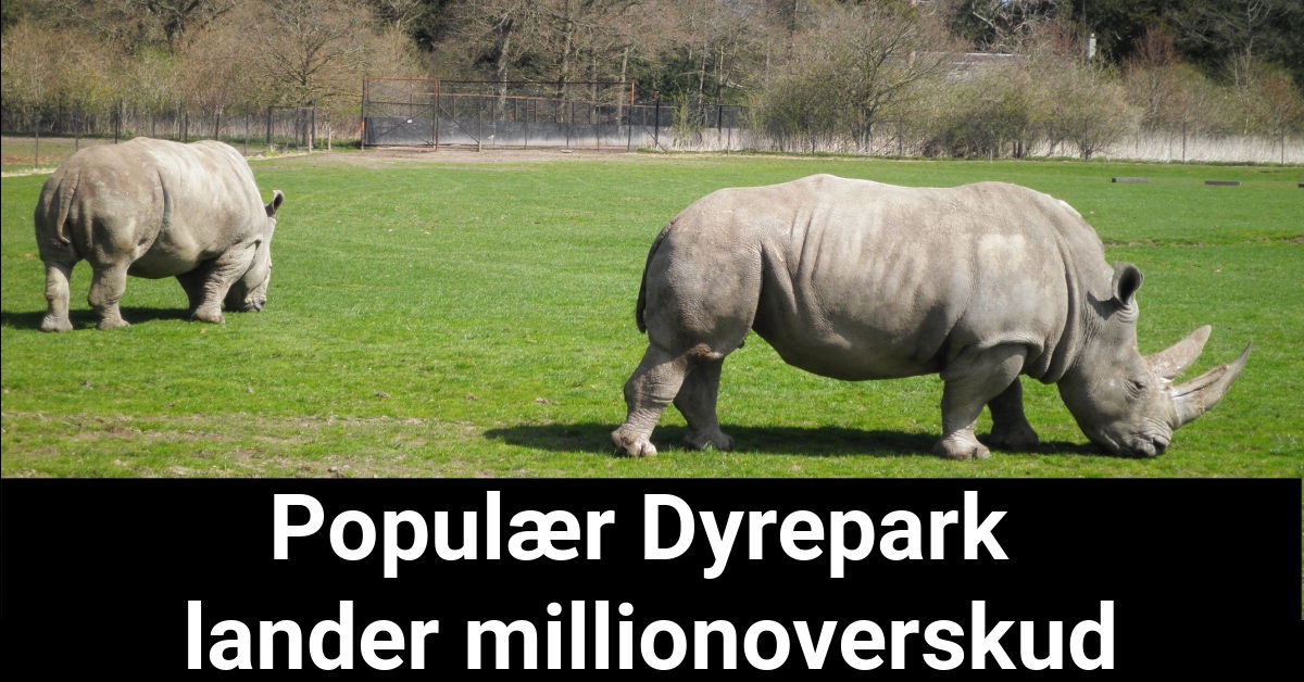 Populær Dyrepark lander millionoverskud