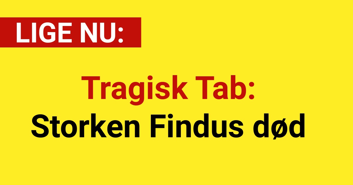 Tragisk Tab: Storken Findus død