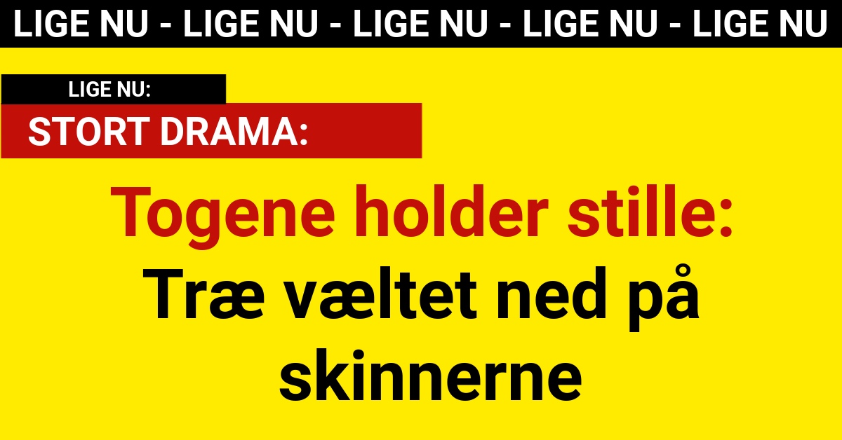 Togene holder stille: Træ væltet ned på skinnerne