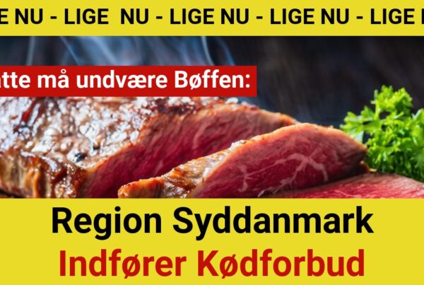Ansatte må undvære Bøffen: Region Syddanmark Indfører Kødforbud