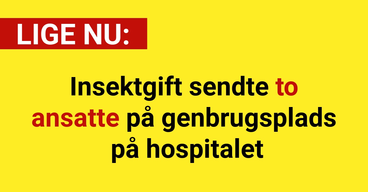 Insektgift sendte to ansatte på genbrugsplads på hospitalet