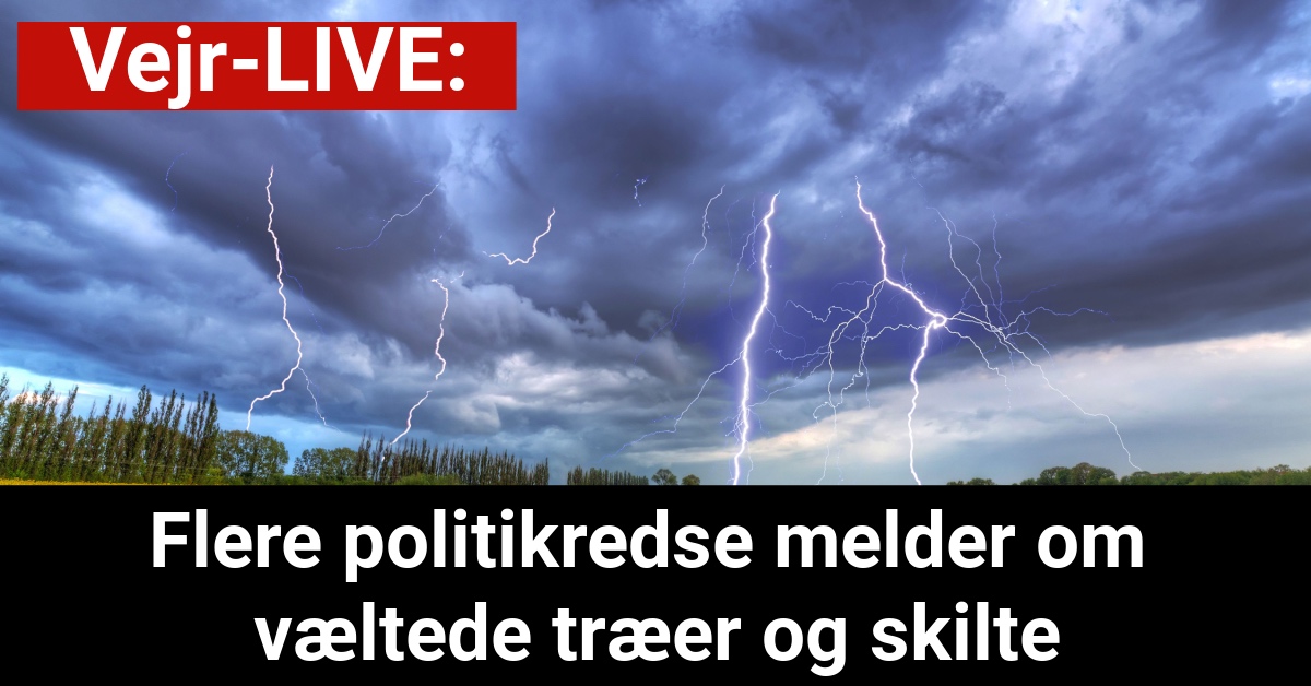 LIGE NU: Flere politikredse melder om væltede træer og skilte