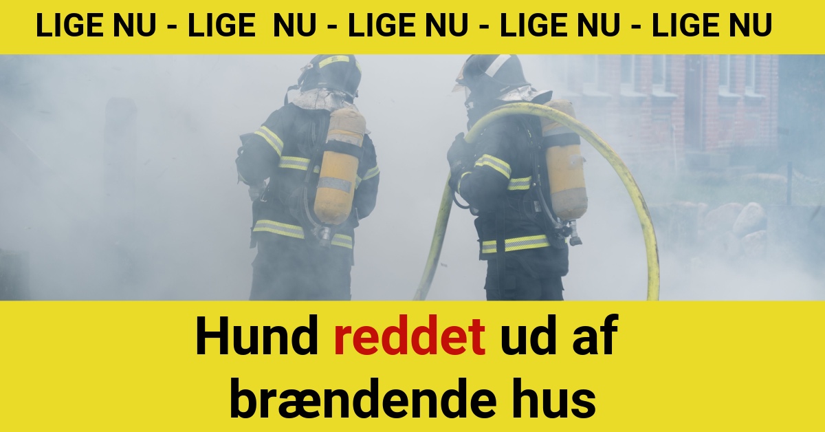 Hund reddet ud af brændende hus