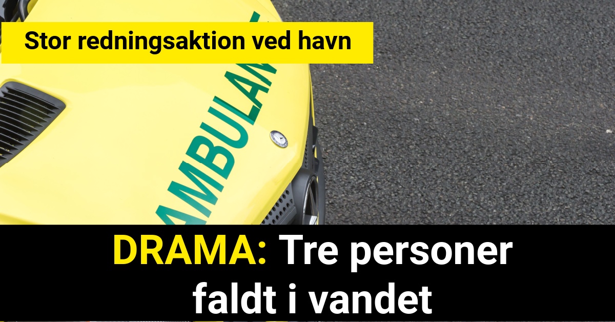 DRAMA: Stor redningsaktion ved havn - Tre personer faldt i vandet