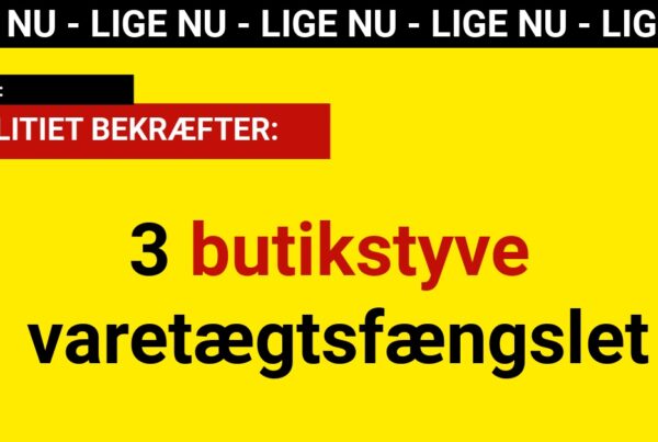 3 butikstyve varetægtsfængslet - Krimi