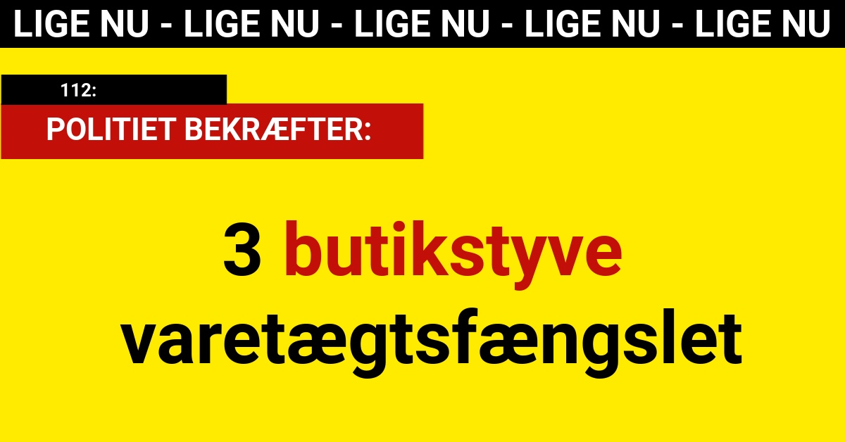 3 butikstyve varetægtsfængslet - Krimi