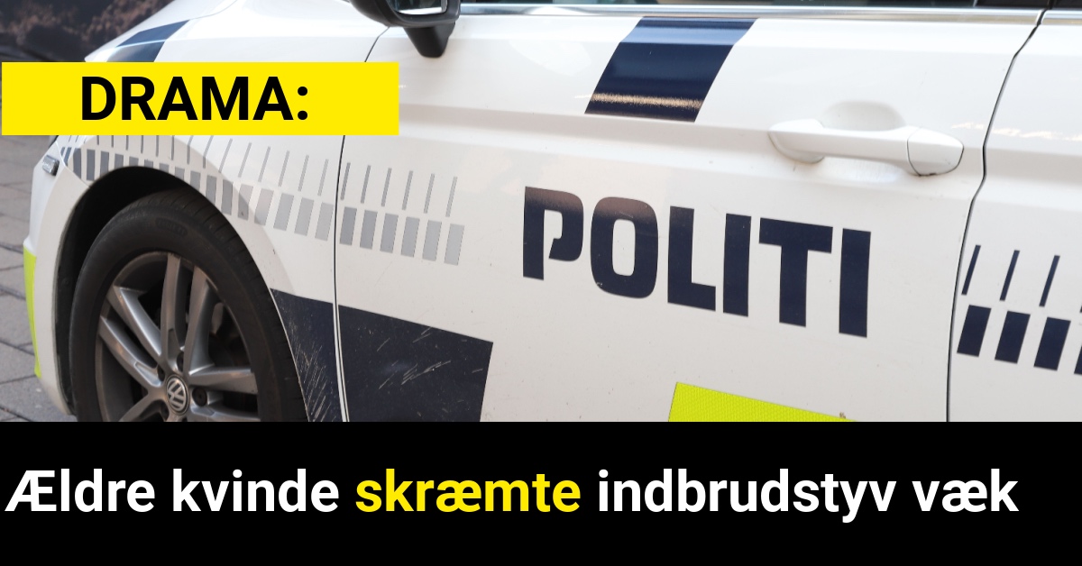 Ældre kvinde skræmte indbrudstyv væk - Krimi