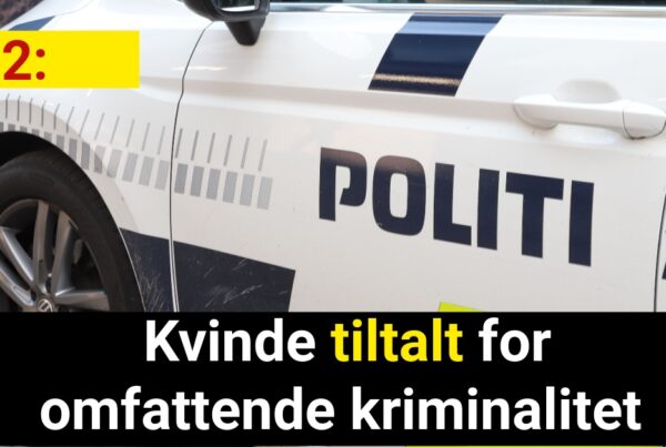 Kvinde tiltalt for omfattende kriminalitet - 112