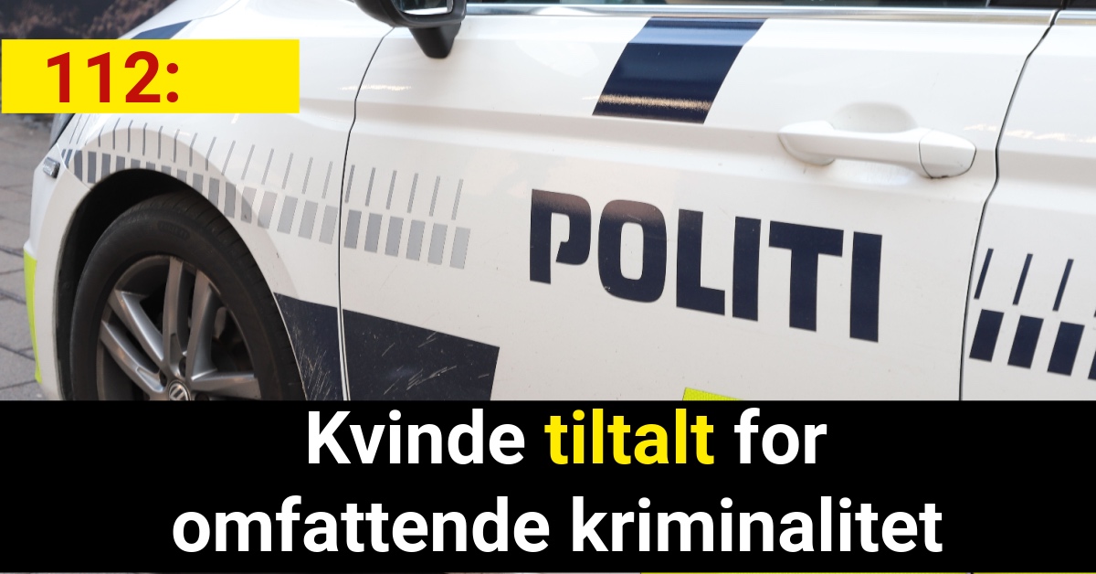 Kvinde tiltalt for omfattende kriminalitet - 112