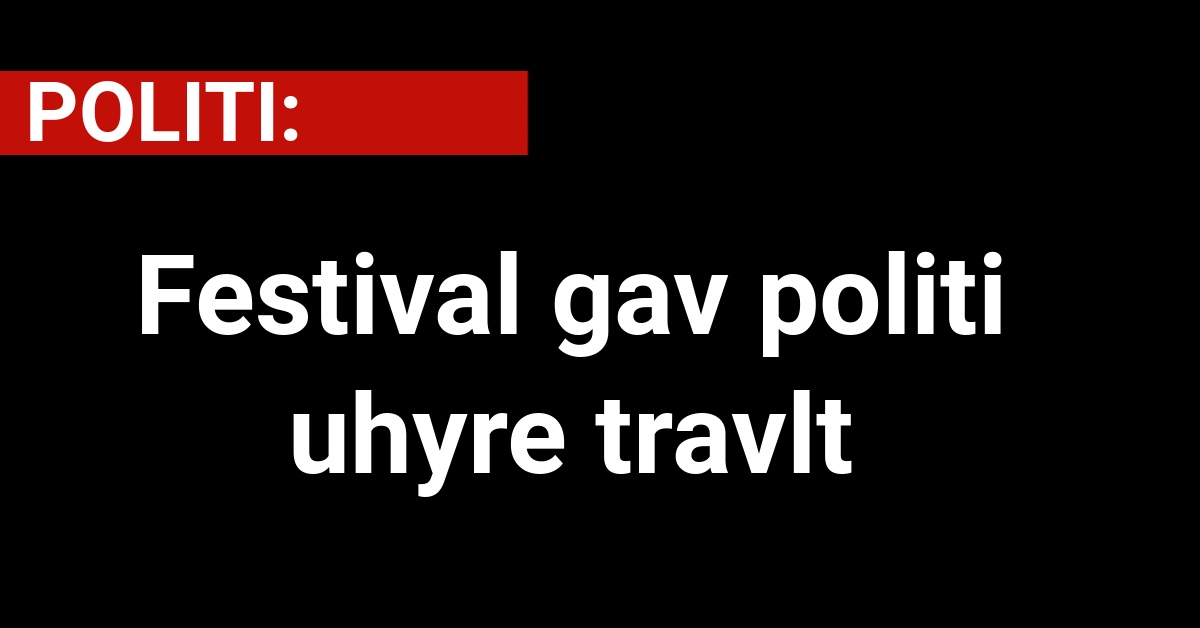 Festival gav politi uhyre travlt - Krimi