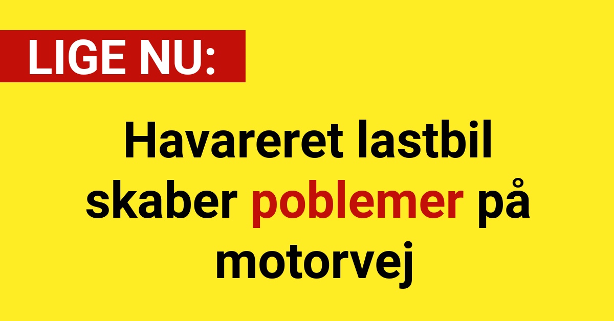 Havareret lastbil skaber problemer på motorvej